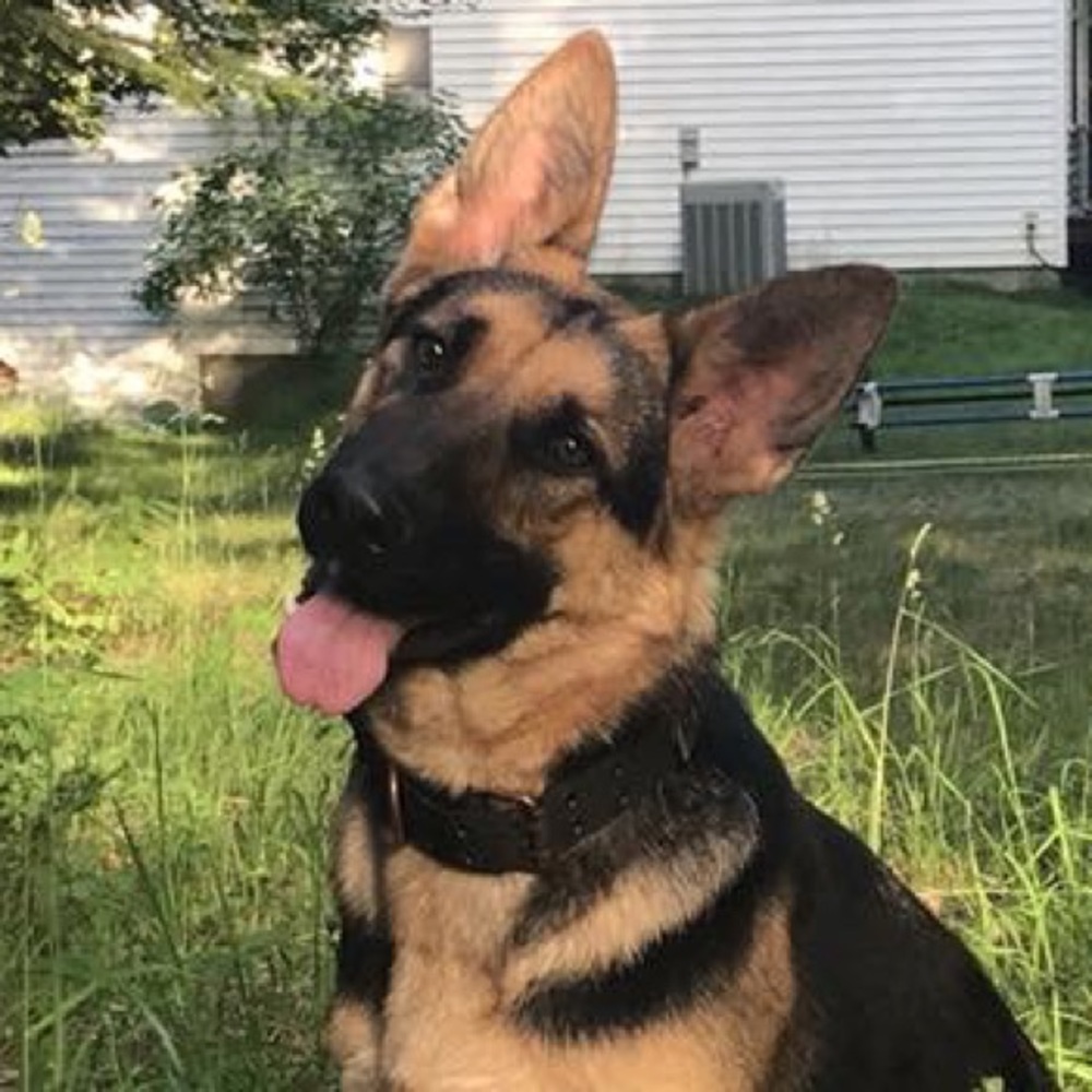 Meet your Posher, Janice